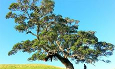 艺术行业五行属性是什么 缺水做什么行业好