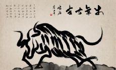 1985年的男人属牛适合做什么职业