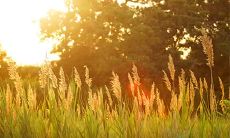 塑料化工五行属什么 属火的工作环境啥样