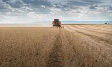 软件工程专业五行属什么 缺火要从事什么