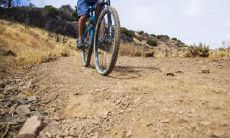 学校的五行属性是什么 缺木会导致什么