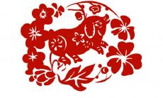 十二生肖最能干的动物,任何难题都能解决