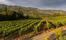 设计是属于五行里的什么属性 要怎么区分