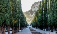 活动策划五行属什么 属水的行业有哪些