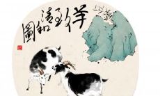 十二生肖最能打架的是什么生肖,能动手就不动口