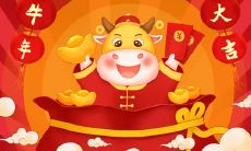 十二生肖最能睡的动物,任何事都比不上睡觉