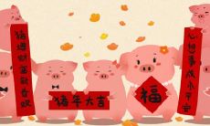 属猪2021.9.25运势 适合低调行事