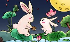 属兔2021.12.17运势 有属于自己的机遇