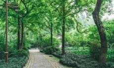 滋补品行业五行属什么 属土的行业有哪些