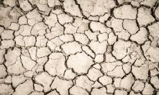 卖水果属于什么五行 卖水果是属木的吗