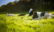 属牛2021.9.3运势 运势平平淡淡的一天