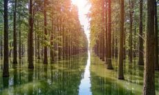 智能科技在五行属什么 属金的有哪些行业