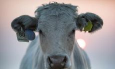 属牛2021.8.27运势 运势不佳宜提升自我