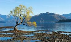 美容化妆品行业五行属啥 五行是属火的吗