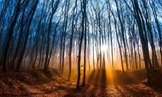 跳舞在五行里面属什么 缺木命学跳舞好吗