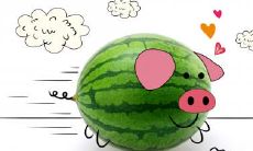 属猪2021.8.25运势 宜平心静气处理问题