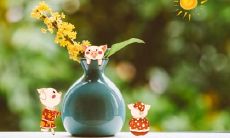 十二生肖最美丽的生肖,看看是不是你?