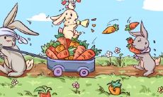 属兔2021.11.19运势 努力被人看在眼里