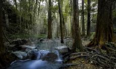 互联网五行属木吗 哪些行业是五行属木的