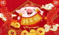 十二生肖最萌的动物,超级可爱招人喜欢