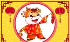 上梁不正下梁歪解生肖 2021年运势会如何