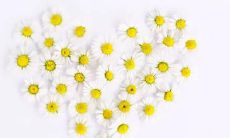 教师职业五行属什么 是属水的还是属木的