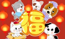 东张西望是什么生肖 此生肖年份多少