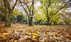 眼镜属于五行哪一类 眼镜店怎么提高运势