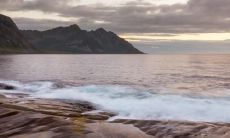 五行缺水就是不聪明吗 家里摆什么能补救