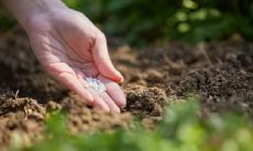 金融行业五行属性是属水吗 有什么特质