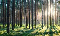 医生职业五行属什么 什么人适合做医生