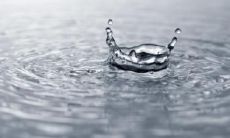 美团外卖五行属什么行业 属木什么颜色旺运