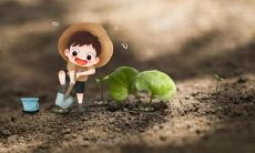 五行缺金就是缺钱吗 缺金做什么生意最旺