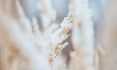 飞机五行属火还是金 五行缺金怎么招财