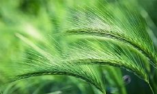 摄影师属于五行中什么行业 缺火影响什么