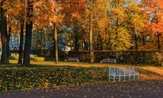 金融业属于金还是属水 五行属水怎么旺财