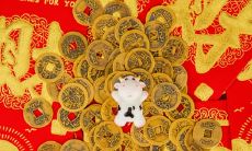 农历9月牛好不好 九月牛做什么好