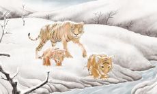 2022年属蛇刑太岁有什么危害，虎年生肖蛇犯太岁佩戴什么破解