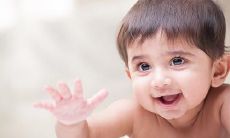 2月的羊宝宝命运如何 2月的羊运势怎么样