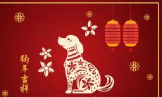 82年属狗的人今年怎么样 有什么需要注意的