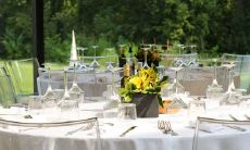 老鼠年10月份男孩怎么样 最适合和谁配对