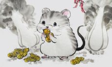 1972年农历八月的鼠命运如何 72年鼠今年需要注意吗