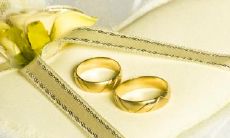 情人节出生的牛宝宝好吗 为啥大家都要生牛宝宝