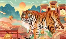 1980年属猴2022年冲太岁运气如何 80年42岁生肖猴犯太岁如何化解