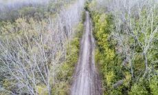 属兔生于十月好吗 十月的属兔人运势如何