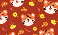 1998年属虎2022年本命年运气好吗 98年出生属虎24岁带什么合适