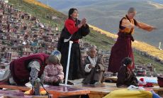 1986年八月出生的虎命运如何 命理详解