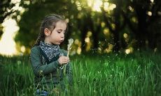 牛年的孩子几月份的好 属牛的最好出生时间