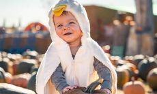 牛年宝宝哪几个月出生好 这三个月最好命