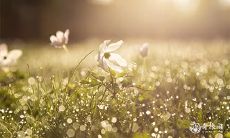 75年11月出生什么命 财运详解